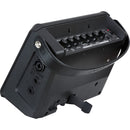 Roland CUBE Street Mini Multi-Instrument Amplifier