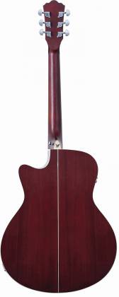 Washburn DFBACEA Deep Forest Grand Auditorium Cutaway, Burl Amber Fade Gloss