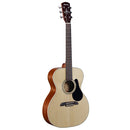 Alvarez RF26 - Regent 26 Series OM/Folk